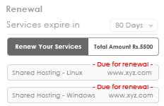 Manage Service Renewals Easily With ZNetLive