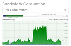 ZnetLive's Web Hosting Resource Monitoring