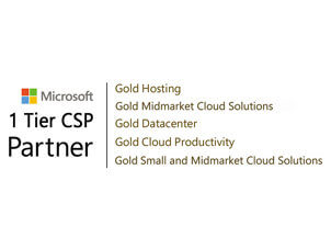 Microsoft Partner icon